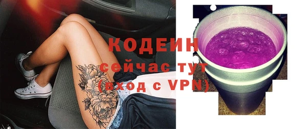 ПСИЛОЦИБИНОВЫЕ ГРИБЫ Каменка