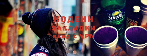 гашик Инта