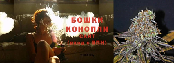 гашик Инта