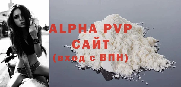 шишки Инсар
