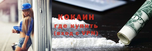 ПСИЛОЦИБИНОВЫЕ ГРИБЫ Каменка