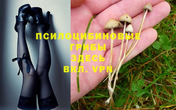 гашик Инта