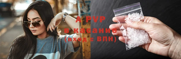гашик Инта