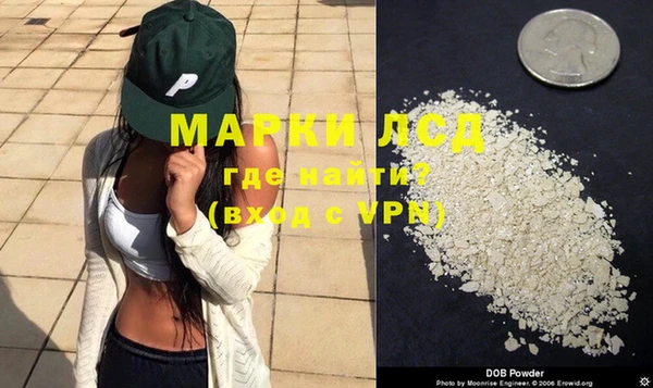 шишки Инсар