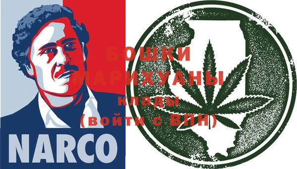 шишки Инсар