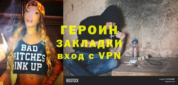 шишки Инсар