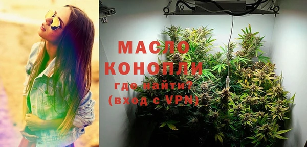 ПСИЛОЦИБИНОВЫЕ ГРИБЫ Каменка