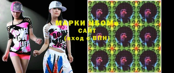 шишки Инсар