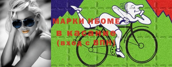 шишки Инсар