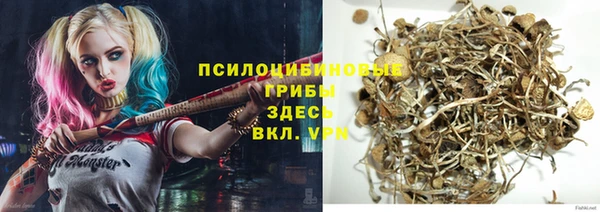 шишки Инсар