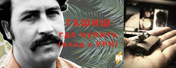 шишки Инсар