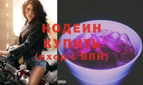гашик Инта